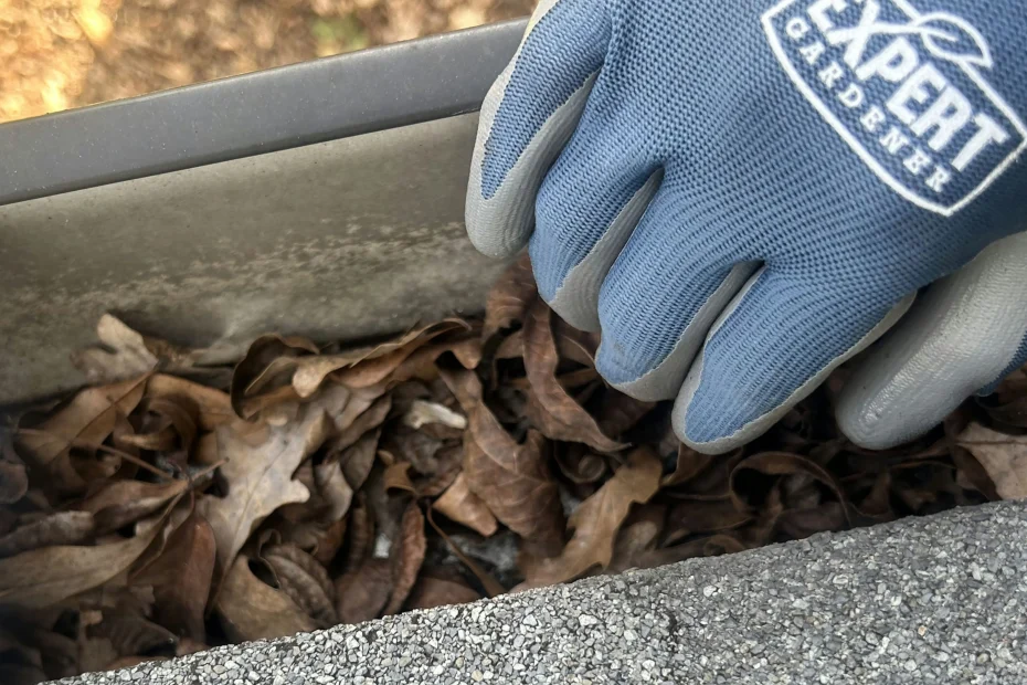 Gutter Cleaning Duluth GA