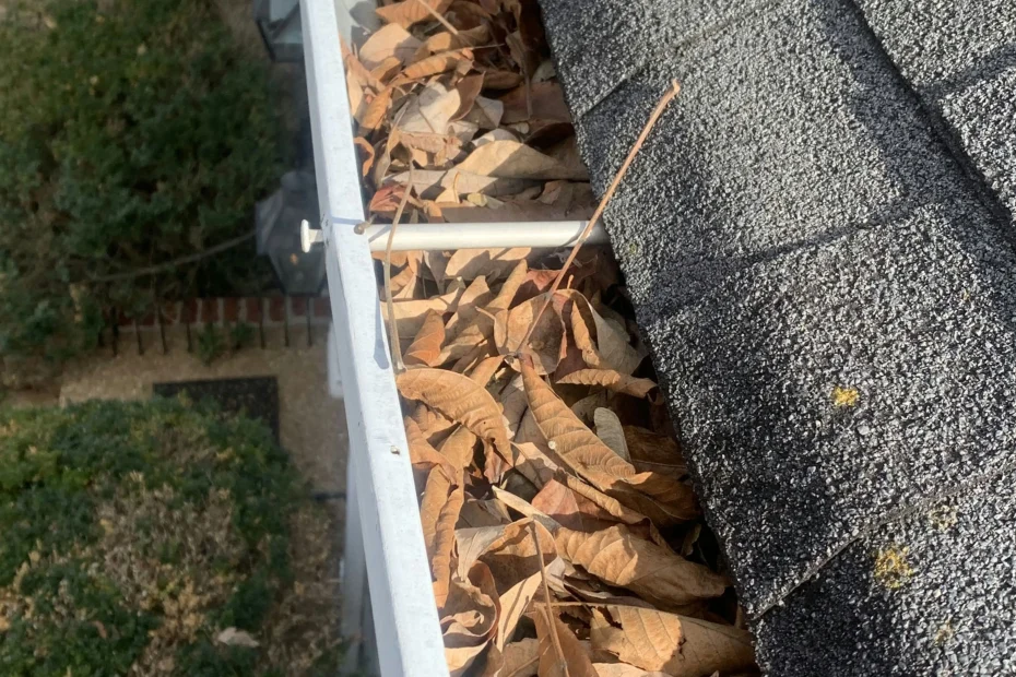 Gutter Cleaning Duluth GA