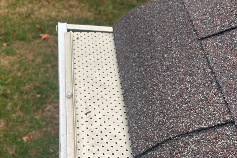 Gutter Cleaning Duluth GA